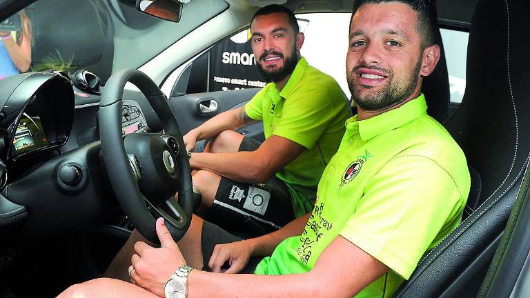 Jerarquía, contundencia y calidad para el olivo mecánico