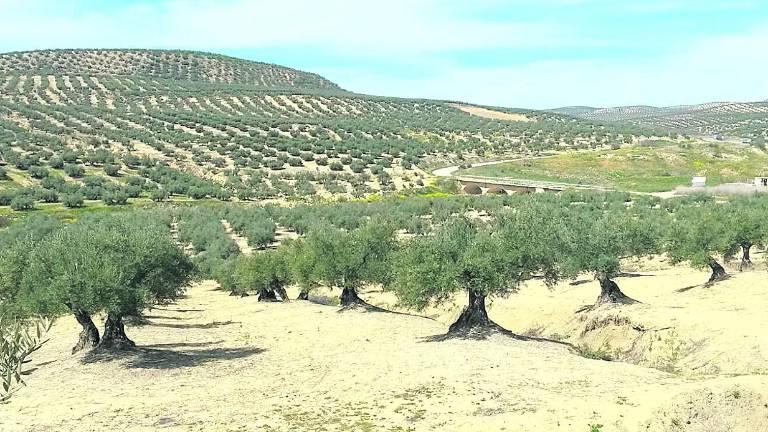 Porcuna se queja al Defensor de la “sinrazón” de su depuradora