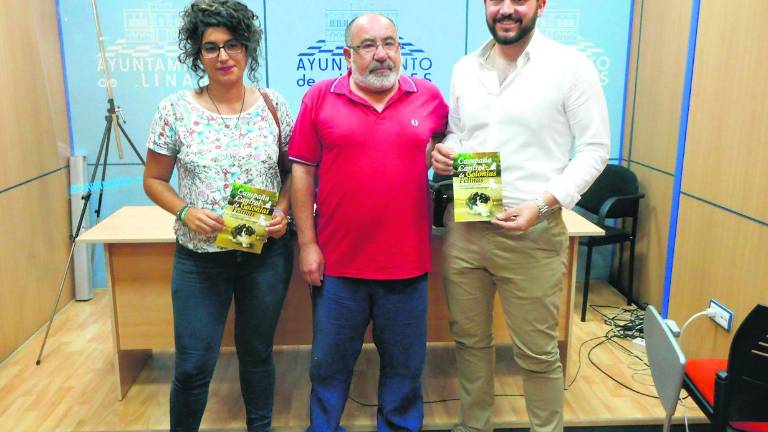 Campaña local para controlar las colonias de gatos callejeros