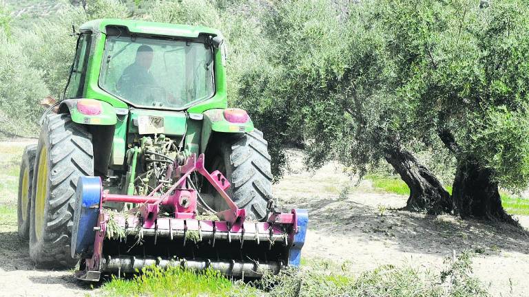 La nueva aplicación de la PAC “atasca” a miles de agricultores