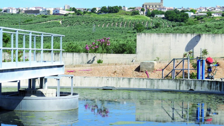 Tres mil hectáreas de olivar se regarán con aguas residuales