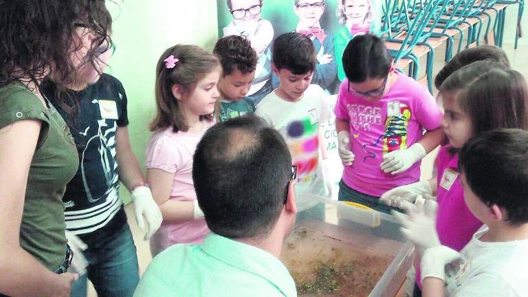Divertido aprendizaje sobre naturaleza en el “Sixto Sigler”