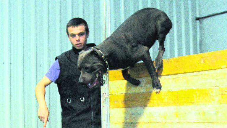 El “Caribe” canino jiennense