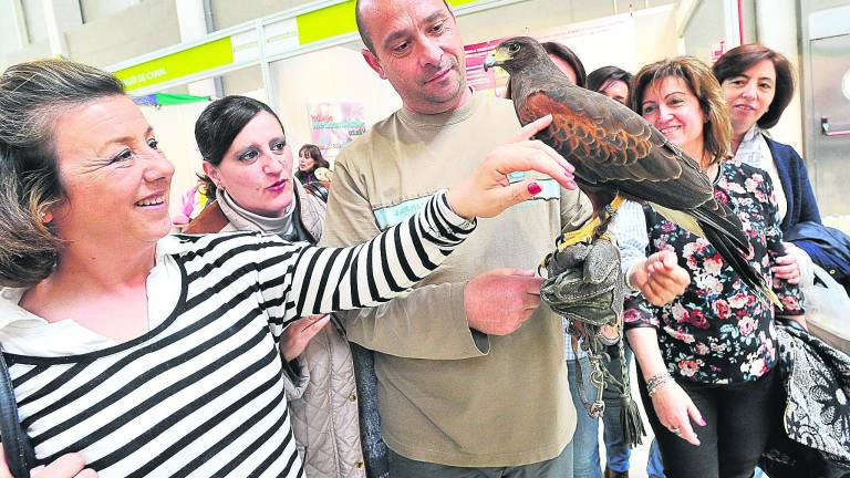 Talleres para todos los gustos