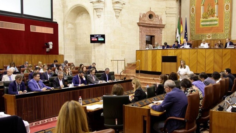 Respaldo del PSOE a C’s en su iniciativa de apoyo al Estado