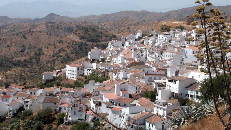 MÁLAGA. Almogía prepara el Día de la Almendra