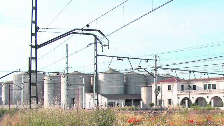 El Patrimonio mantendrá su volumen para guardar aceite