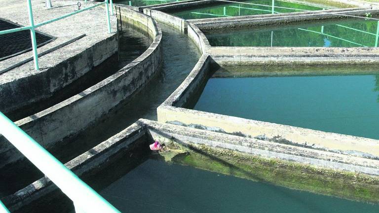 El fiscal lleva ocho depuradoras al juzgado por no limpiar bien el agua