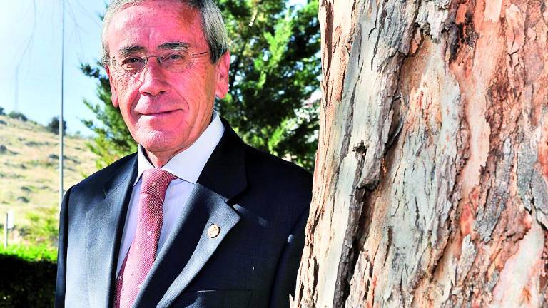 “La Económica es joven y tiene peso”