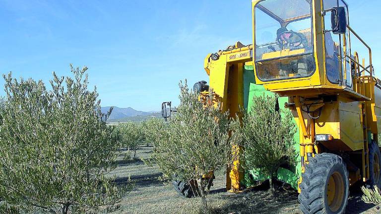 Abierto el plazo de ayudas para modernizar maquinaria