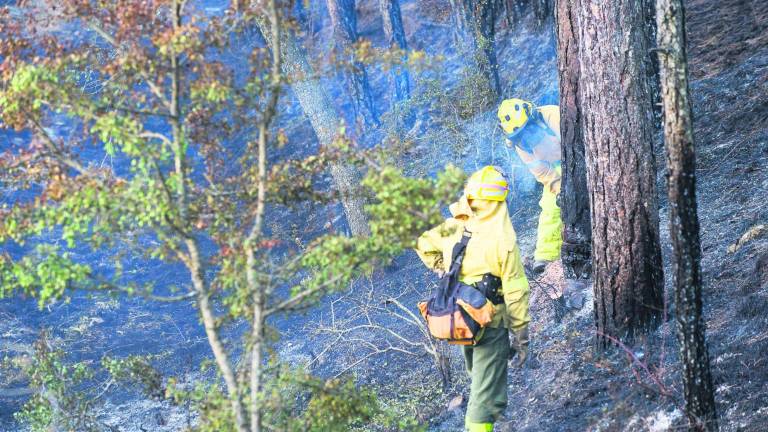 La provincia de Jaén registró solo 8 incendios desde enero