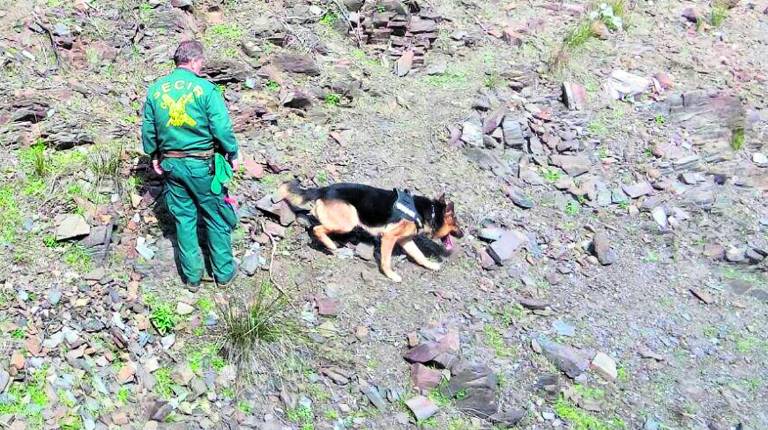 BÚSQUEDA.<i> Un guardia civil junto con uno de los perros de la unidad canina, durante la búsqueda.</i>