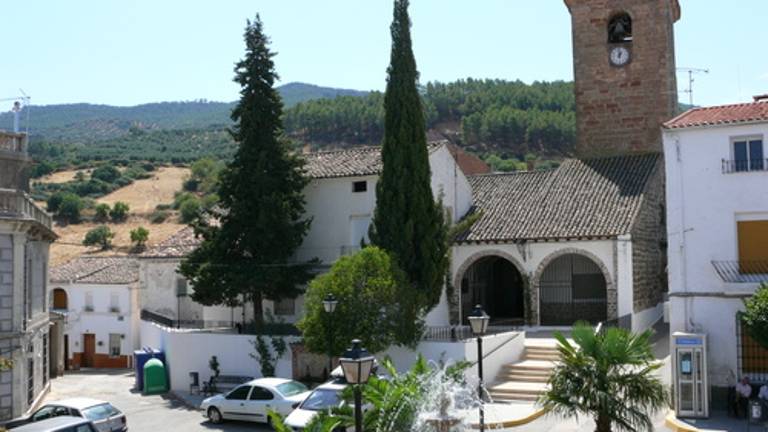 Cuna del olivar ecológico