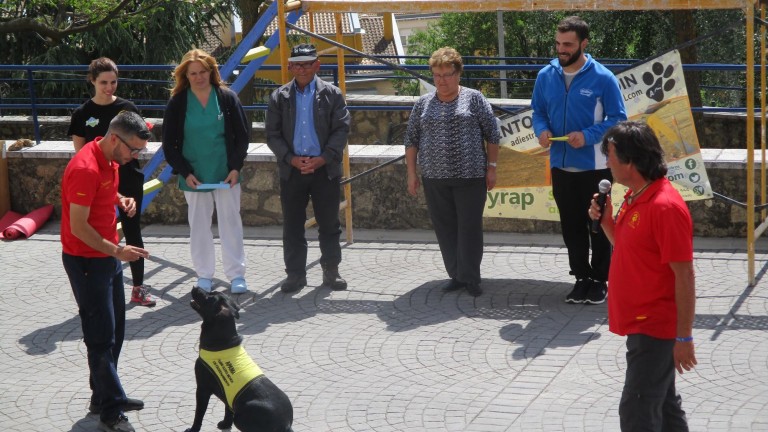 Exhibición de adiestramiento de perros en la residencia municipal