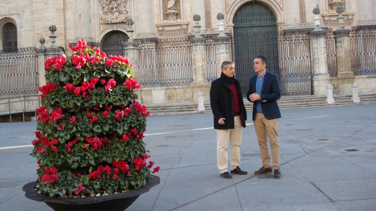 4.000 flores para engalanar Jaén por Navidad