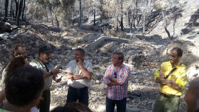 La Junta prepara medidas contra la erosión, “el mayor problema” tras el incendio de Segura