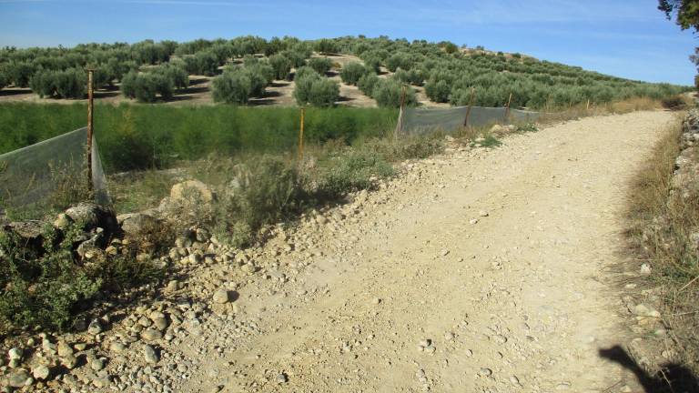 Deterioro de carriles por las tormentas