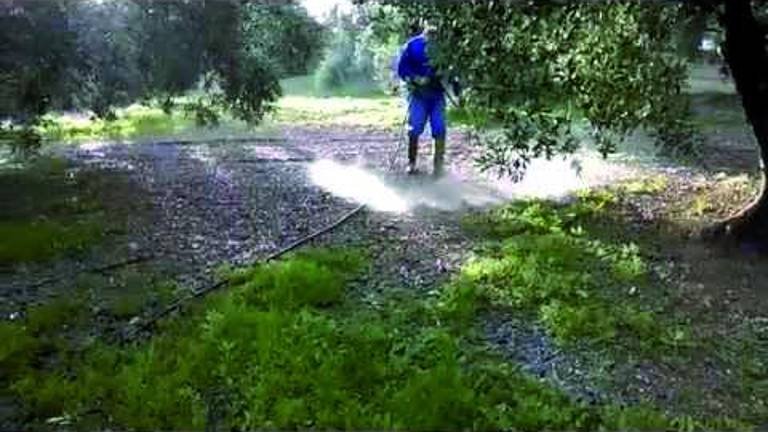 Adelante Jaén rechaza el uso en la capital del discutido herbicida glifosato