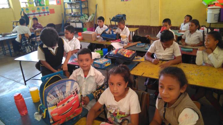 La rama educativa en Quesada