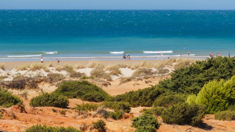 La playa de La Barrosa, lugar de celebración festivalera