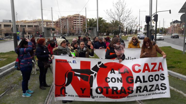 Los galgos se convierten en protagonistas