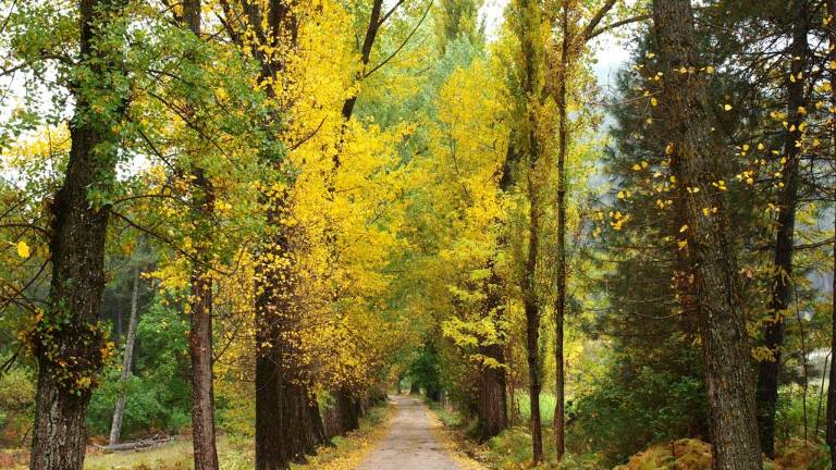 El otoño será más cálido y seco en Jaén