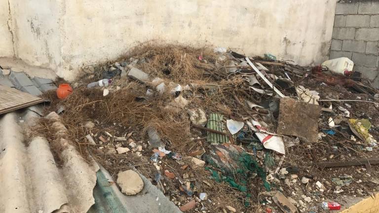 San Vicente de Paúl lleva un año y medio esperando la limpieza de solares
