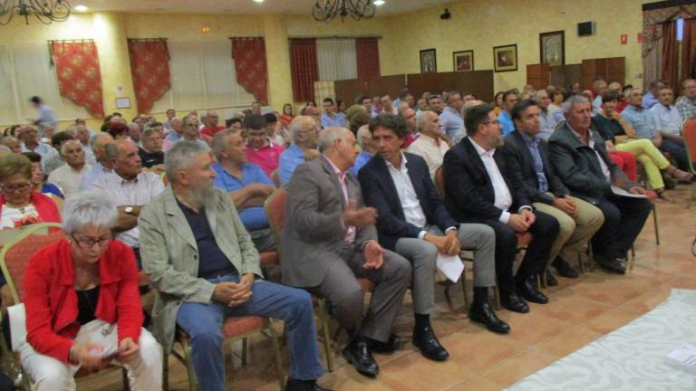 UPA defiende sacar máximo partido para los olivareros