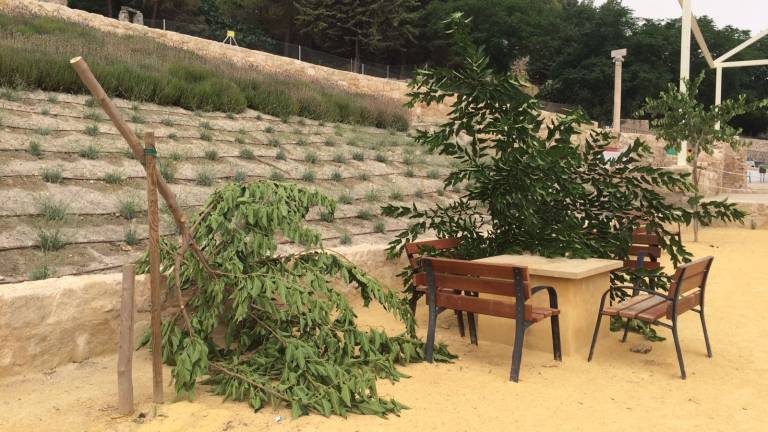El Ayuntamiento de Alcalá la Real denuncia actos vandálicos con la tala de siete árboles