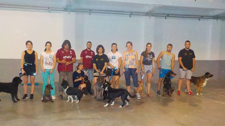 Seminario de adiestramiento de perros