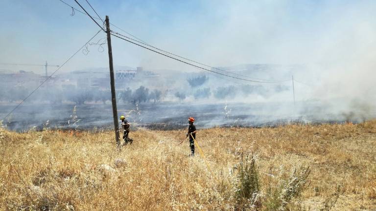 Las llamas calcinan una parcela junto a Fuerte del Rey