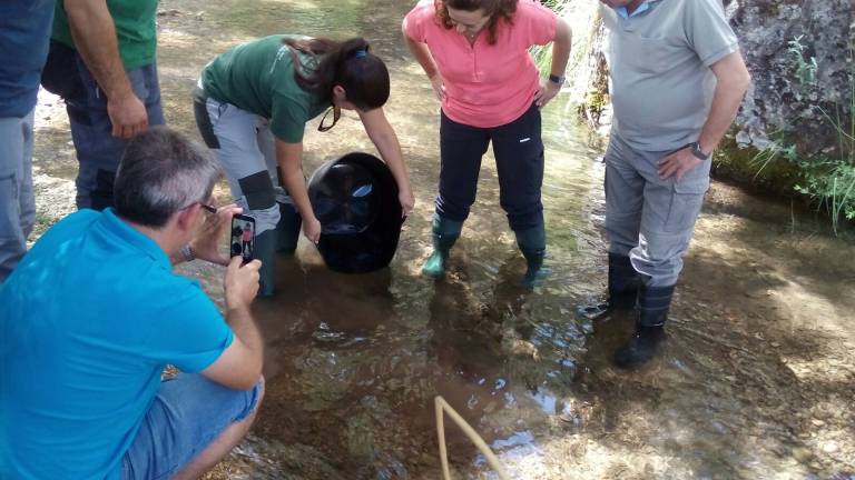 Medio Ambiente libera 5.000 ejemplares de trucha en el río Guadalentín