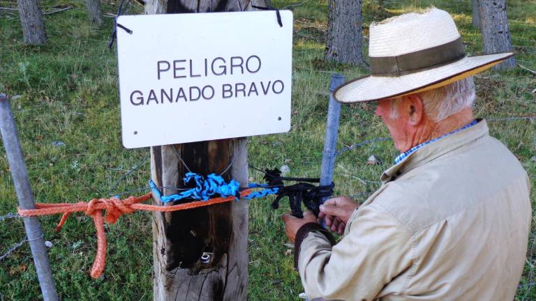 El camino de los rebaños