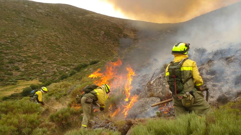 Drones para luchar contra los incendios este verano
