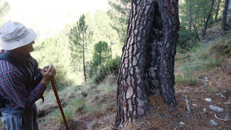El Blanquillo por el Zarzalar