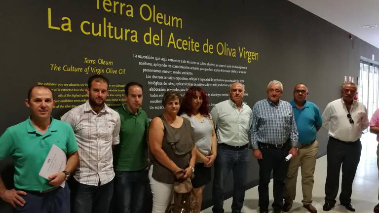 Divulgación del museo mengibareño Terra Oleum