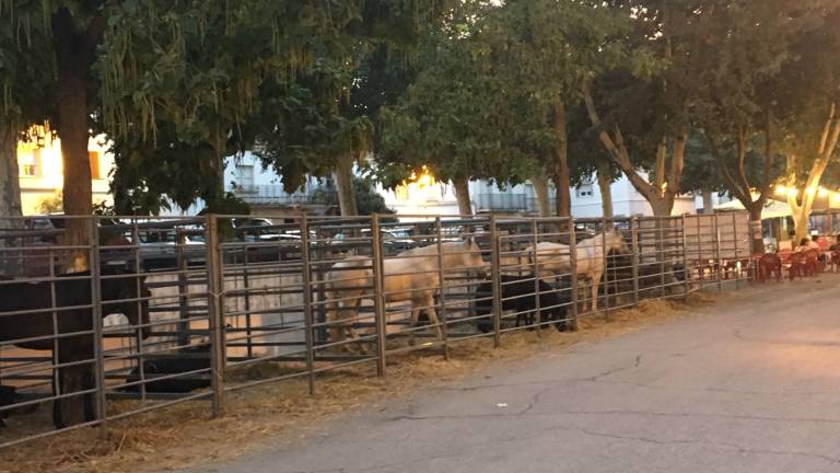 Broche en Beas a la feria de la Paz
