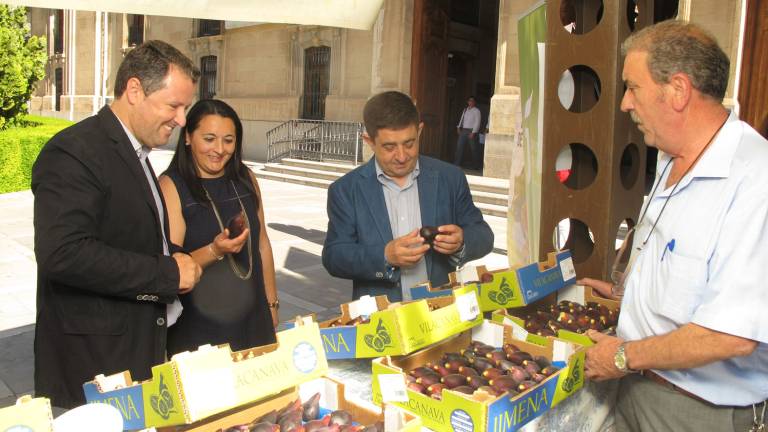 El delicioso fruto de la higuera conquista Jaén