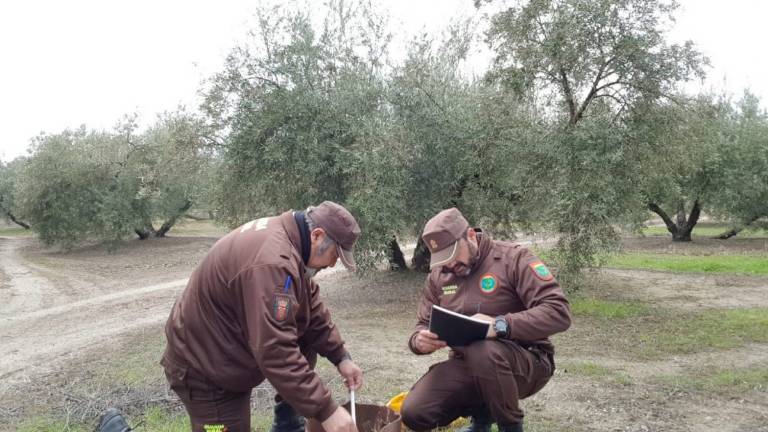 Todas las miradas en los pozos