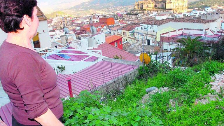 Los “jardines secretos”, paralizados entre las dudas