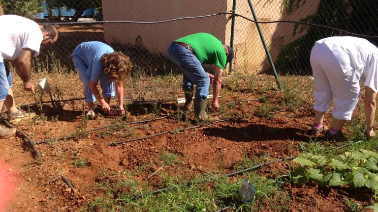 Huerto terapéutico que cultiva valores y elimina estereotipos