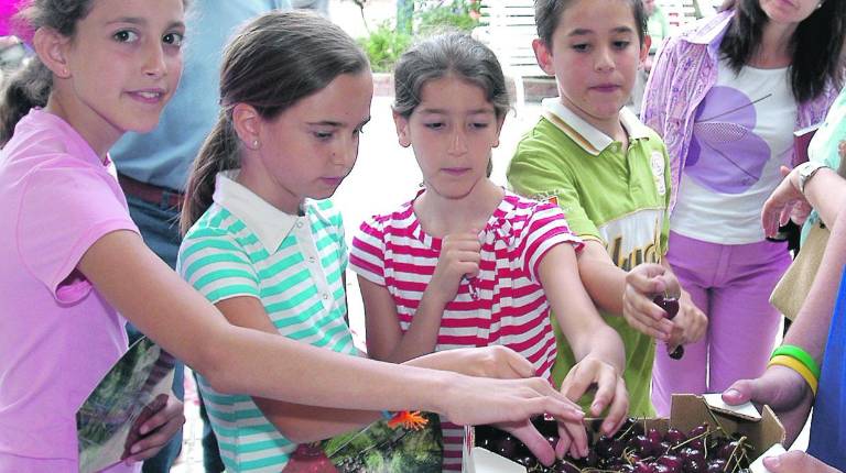 Todo gira en torno al fruto rojo