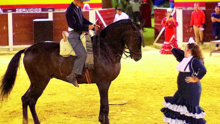 Alta participación en la feria