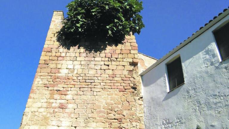 Exigen que se retire una higuera de la torre medieval