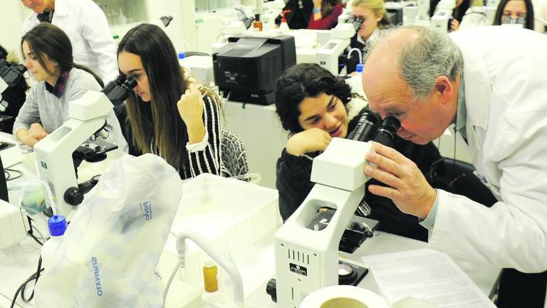 Cuando el laboratorio se abre