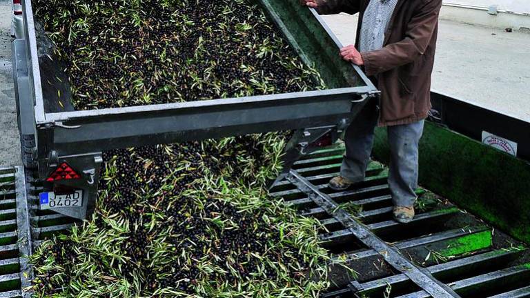 El “Brexit” amenaza el 5% de los fondos que reciben los agricultores de la PAC