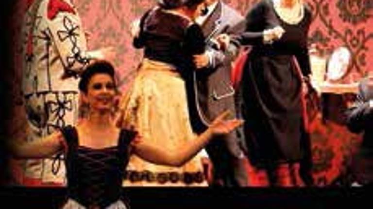 Agenda de San Lucas 2018