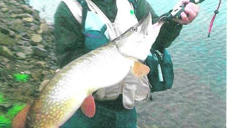 Un lucio de 7,5 kilos en el Guadalmena