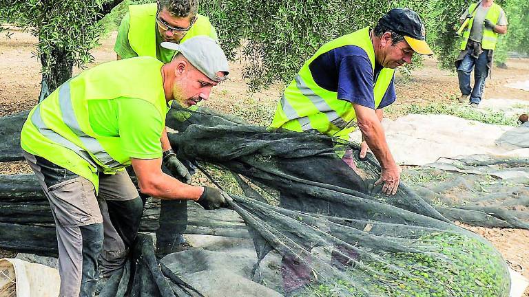 Nuevo acuerdo para los autónomos agrarios