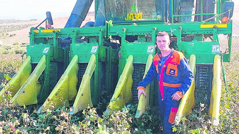El algodón también engaña